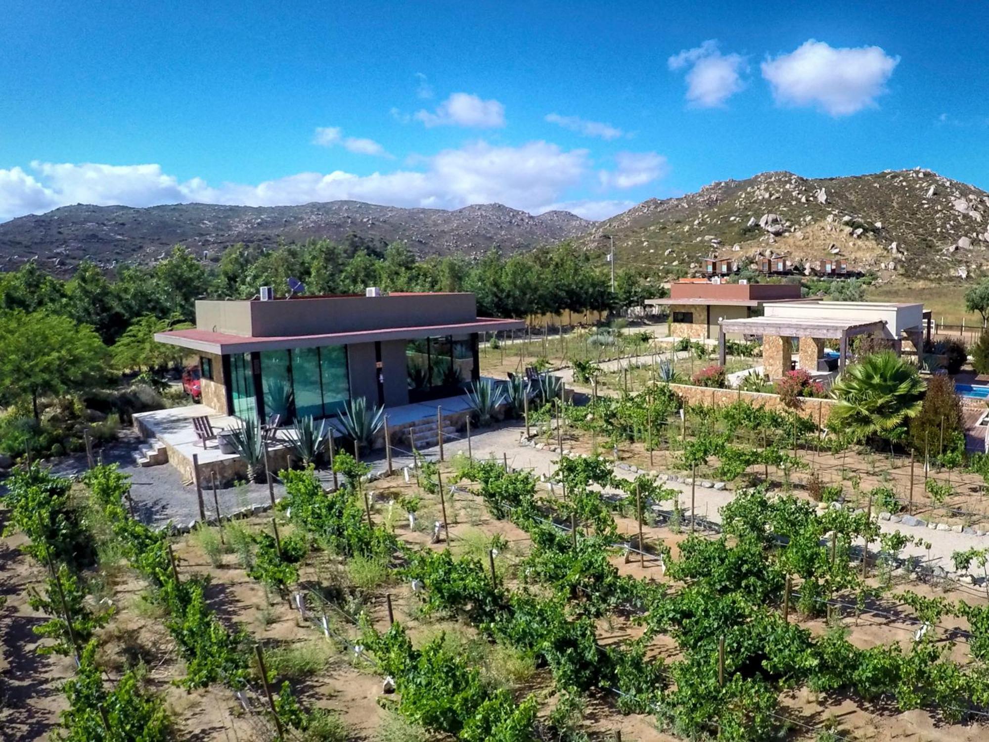 Hotel Boutique Valle De Guadalupe & Spa ห้อง รูปภาพ